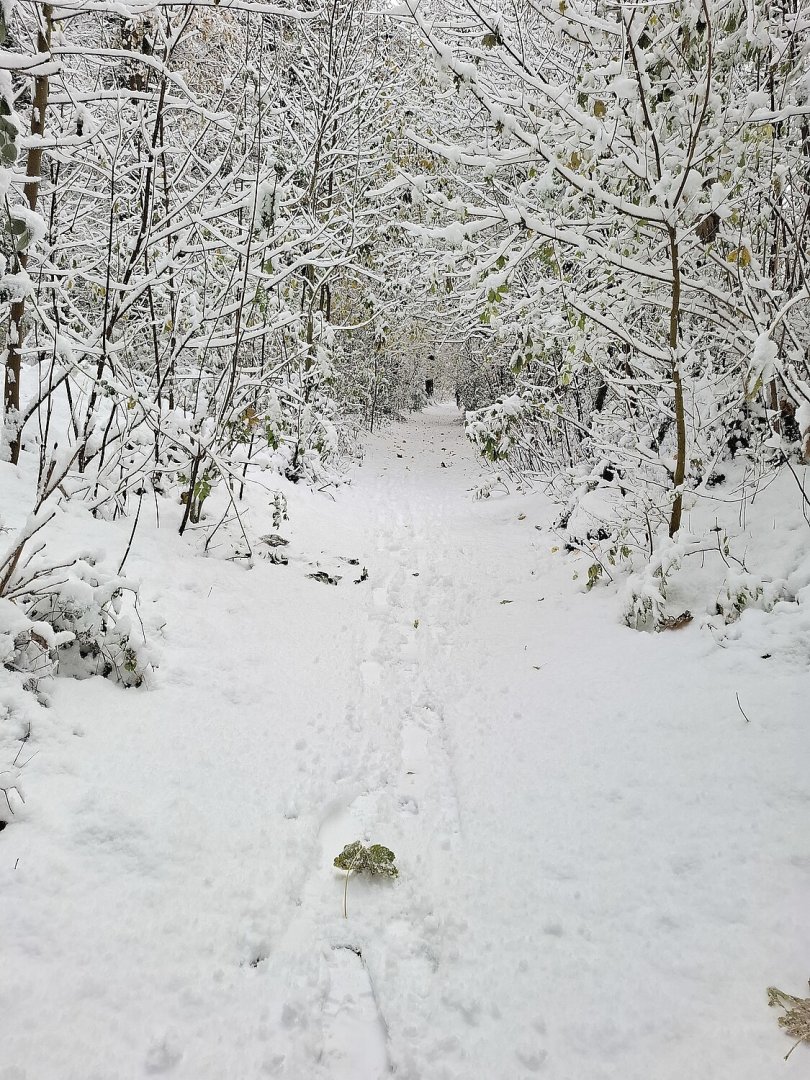 Schnee in Ostfriesland - Bild 77