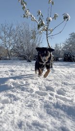 Schnee in Ostfriesland - Bild 88