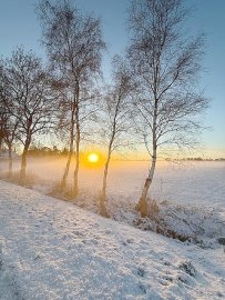 Schnee in Ostfriesland - Bild 97