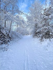 Schnee in Ostfriesland - Bild 41