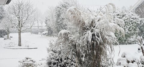 Schnee in Ostfriesland - Bild 73