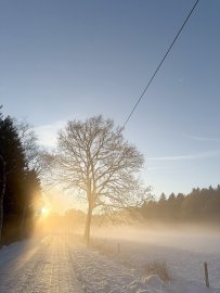 Schnee in Ostfriesland - Bild 75