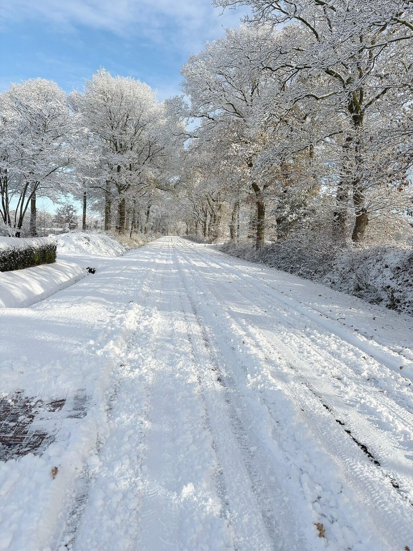Schnee in Ostfriesland - Bild 96