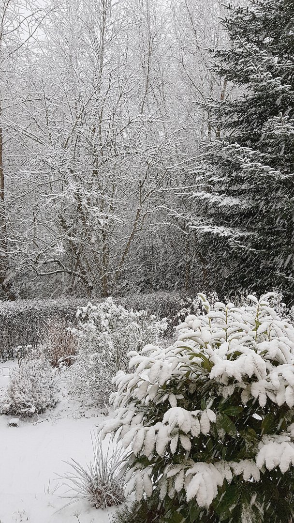 Schnee in Ostfriesland (Leserfotos, Teil 1) - Bild 11