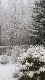 Schnee in Ostfriesland (Leserfotos, Teil 1) - Bild 11