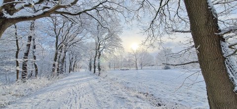 Schnee in Ostfriesland (Leserfotos, Teil 1) - Bild 15