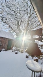 Schnee in Ostfriesland (Leserfotos, Teil 1) - Bild 20