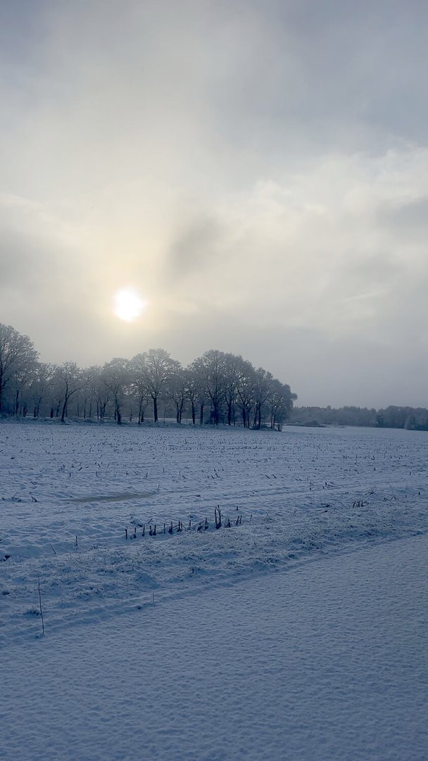Schnee in Ostfriesland (Leserfotos, Teil 1) - Bild 27