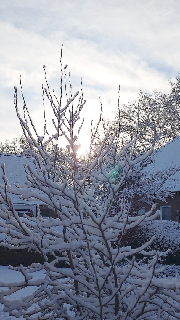 Schnee in Ostfriesland (Leserfotos, Teil 1) - Bild 30
