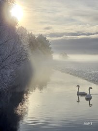 Schnee in Ostfriesland (Leserfotos, Teil 1) - Bild 43