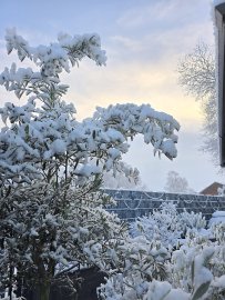 Schnee in Ostfriesland (Leserfotos, Teil 1) - Bild 47