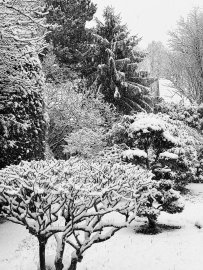 Schnee in Ostfriesland (Leserfotos, Teil 1) - Bild 49