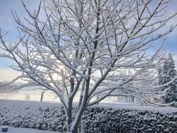 Schnee in Ostfriesland (Leserfotos, Teil 1) - Bild 54