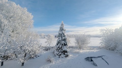 Schnee in Ostfriesland (Leserfotos, Teil 1) - Bild 61