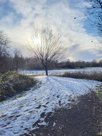 Schnee in Ostfriesland (Leserfotos, Teil 1) - Bild 67
