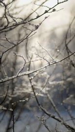 Schnee in Ostfriesland (Leserfotos, Teil 1) - Bild 69