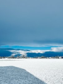 Schnee in Ostfriesland (Leserfotos, Teil 1) - Bild 70