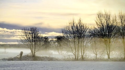 Schnee in Ostfriesland (Leserfotos, Teil 1) - Bild 74