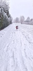 Schnee in Ostfriesland (Leserfotos, Teil 2) - Bild 2