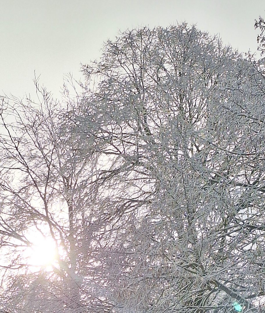 Schnee in Ostfriesland (Leserfotos, Teil 2) - Bild 3