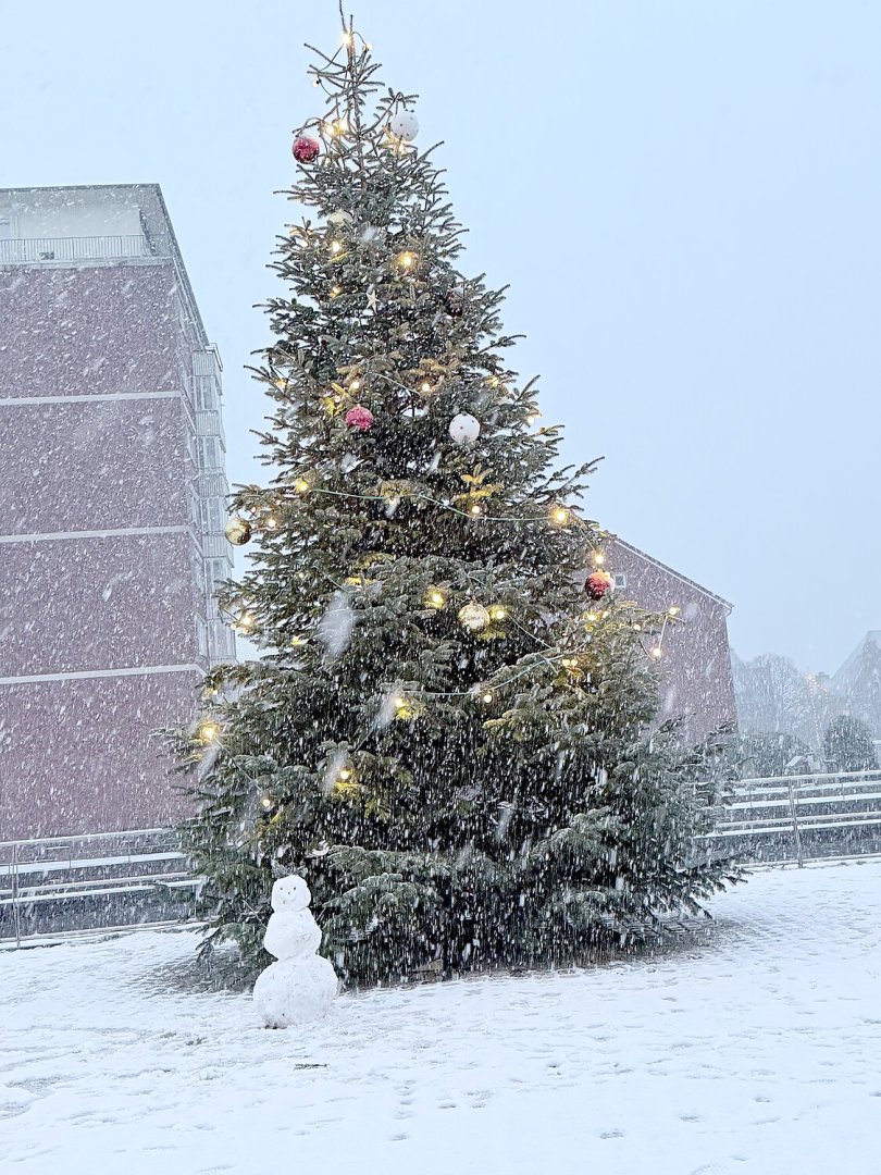 Schnee in Ostfriesland (Leserfotos, Teil 2) - Bild 19