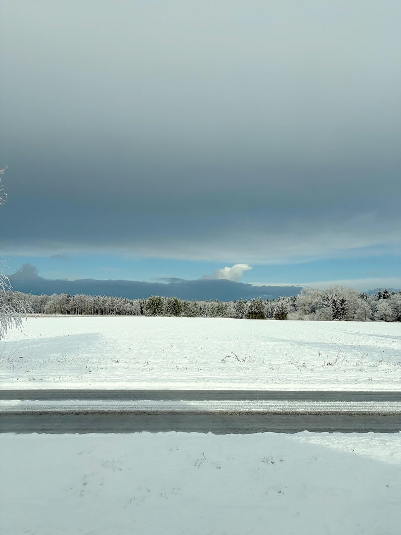 Schnee in Ostfriesland (Leserfotos, Teil 2) - Bild 27