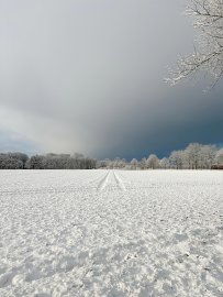 Schnee in Ostfriesland (Leserfotos, Teil 2) - Bild 29
