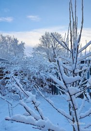 Schnee in Ostfriesland (Leserfotos, Teil 2) - Bild 39