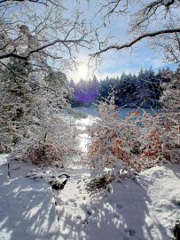 Schnee in Ostfriesland (Leserfotos, Teil 2) - Bild 50
