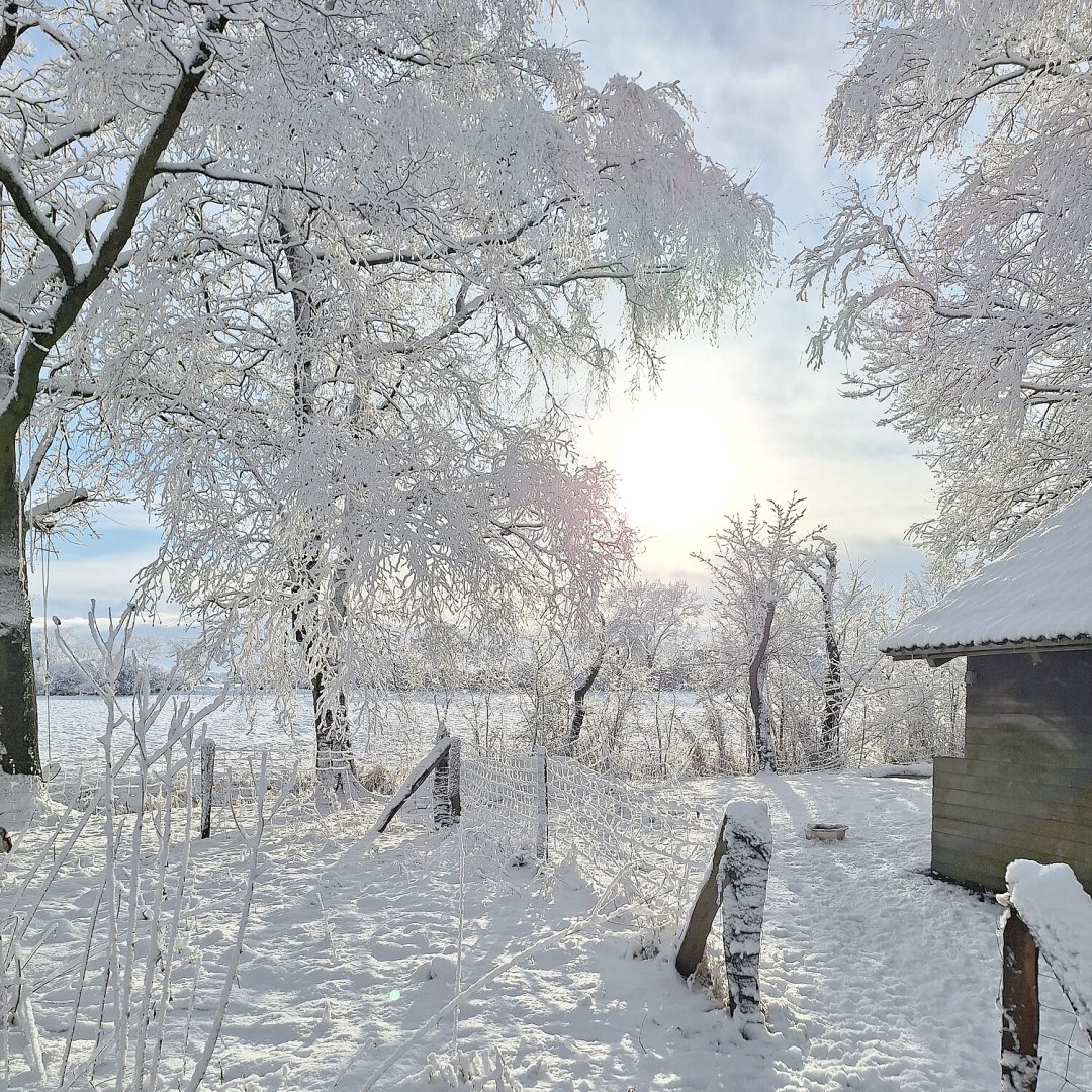 Schnee in Ostfriesland (Leserfotos, Teil 2) - Bild 53