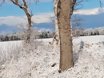 Schnee in Ostfriesland (Leserfotos, Teil 2) - Bild 55