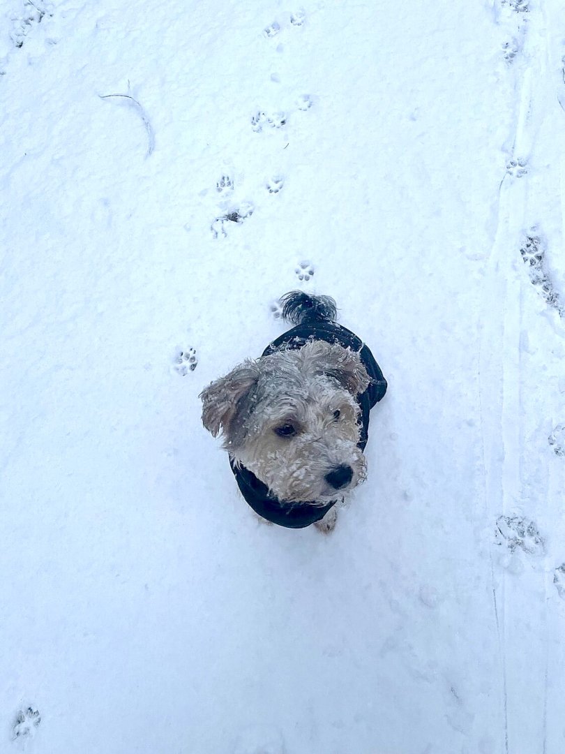 Schnee in Ostfriesland (Leserfotos, Teil 2) - Bild 66