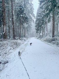 Schnee in Ostfriesland (Leserfotos, Teil 2) - Bild 67