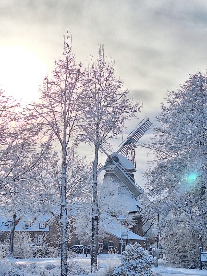 Schnee in Ostfriesland (Leserfotos, Teil 2) - Bild 71