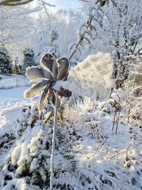 Schnee in Ostfriesland (Leserfotos, Teil 2) - Bild 87