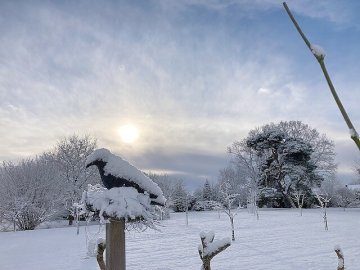 Schnee in Ostfriesland (Leserfotos, Teil 3) - Bild 7