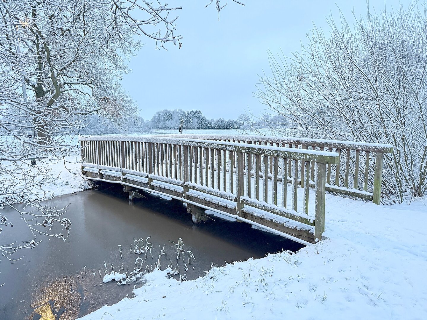 Schnee in Ostfriesland (Leserfotos, Teil 3) - Bild 20