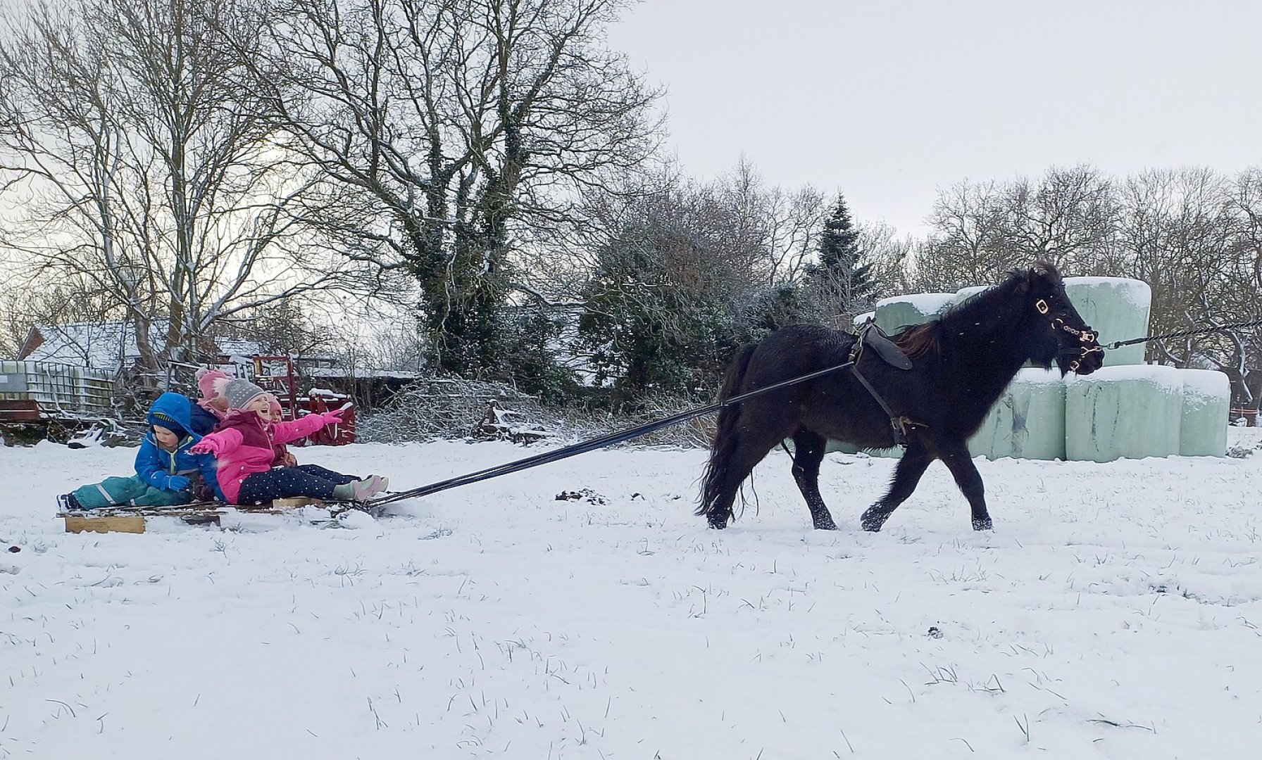 Schnee in Ostfriesland (Leserfotos, Teil 3) - Bild 42