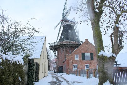 Schnee in Ostfriesland (Leserfotos, Teil 3) - Bild 48