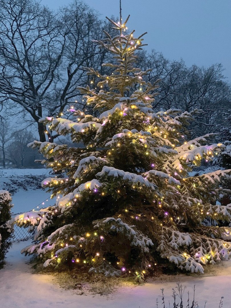 Schnee in Ostfriesland (Leserfotos, Teil 3) - Bild 56