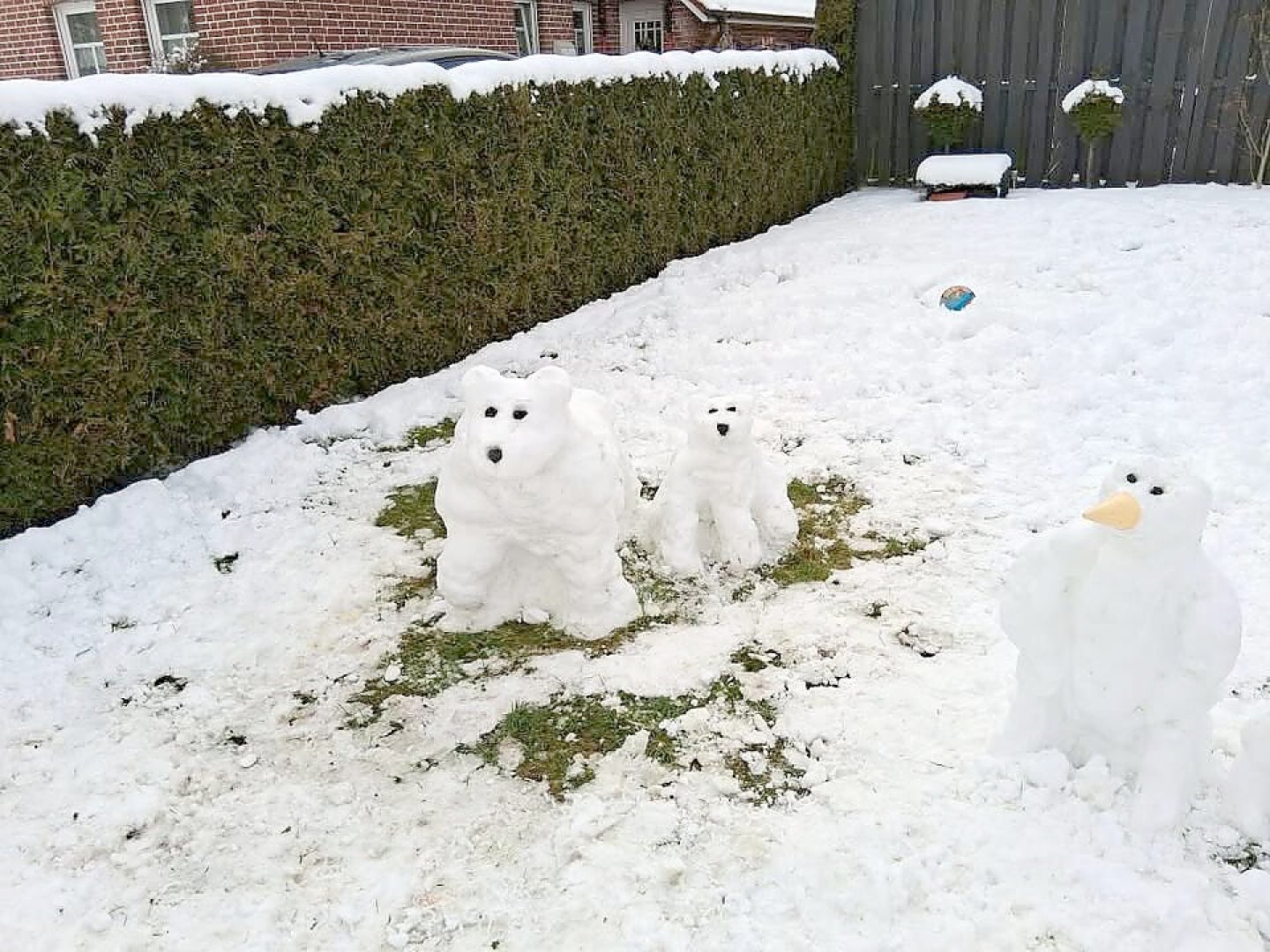 Schnee in Ostfriesland (Leserfotos, Teil 3) - Bild 73