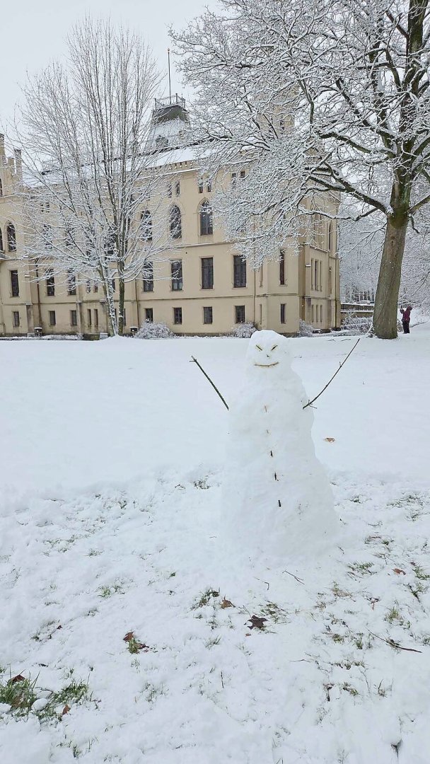 Schnee in Ostfriesland (Leserfotos, Teil 3) - Bild 71