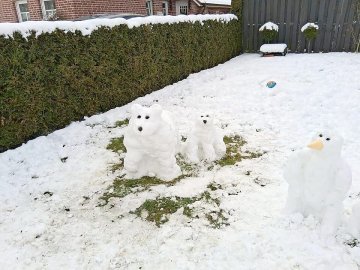 Schnee in Ostfriesland (Leserfotos, Teil 3) - Bild 73