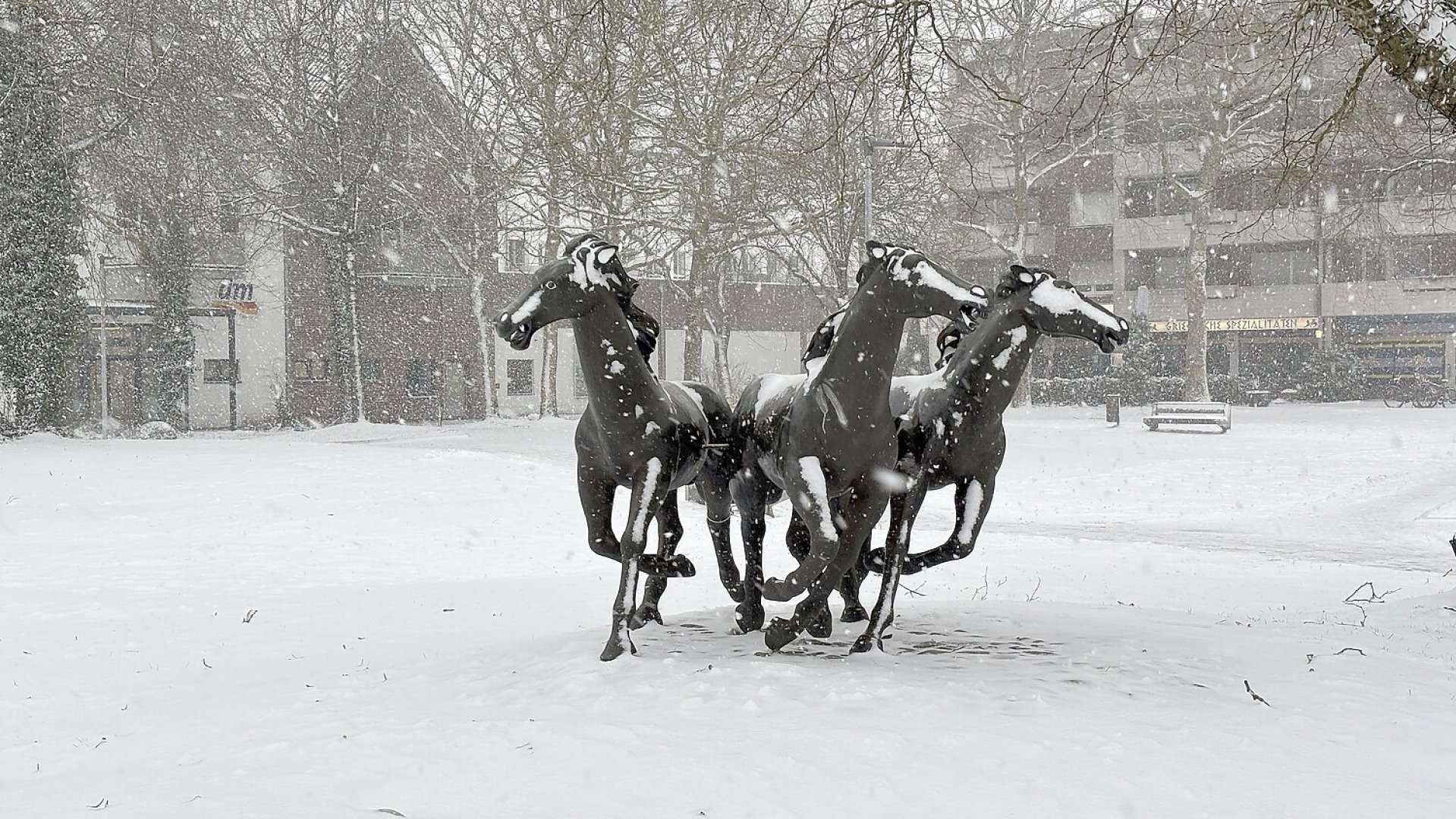 Schneetag in Aurich - Bild 13