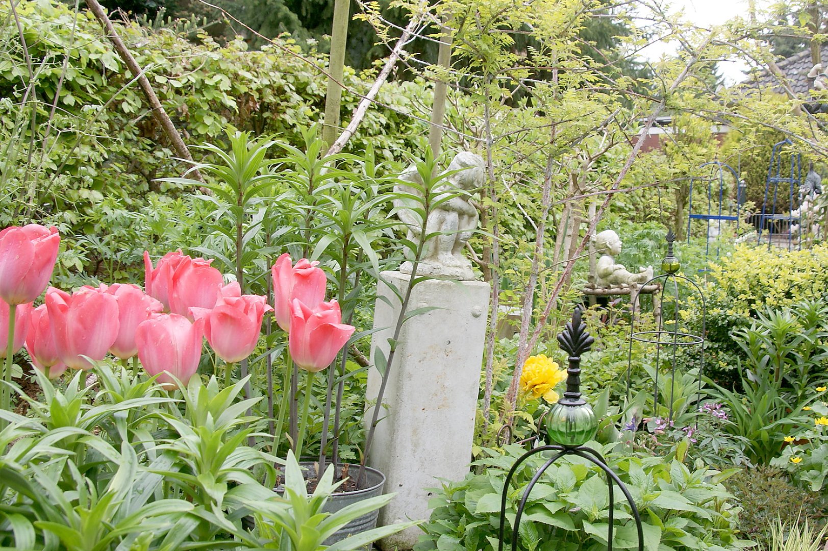 Auricher Gartenfreunde öffneten ihre Pforten - Bild 1