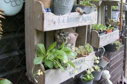 Auricher Gartenfreunde öffneten ihre Pforten - Bild 3