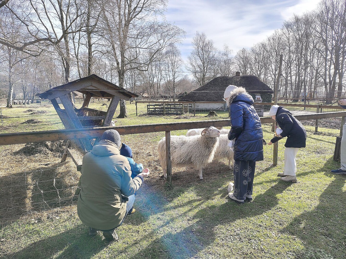 Bunte Ostereier zwischen alten Hütten - Bild 3