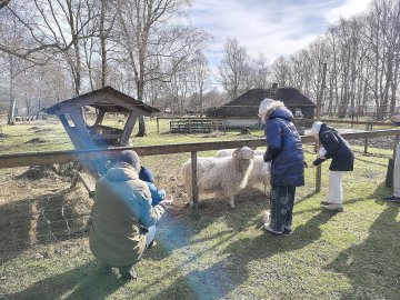 Bunte Ostereier zwischen alten Hütten - Bild 3