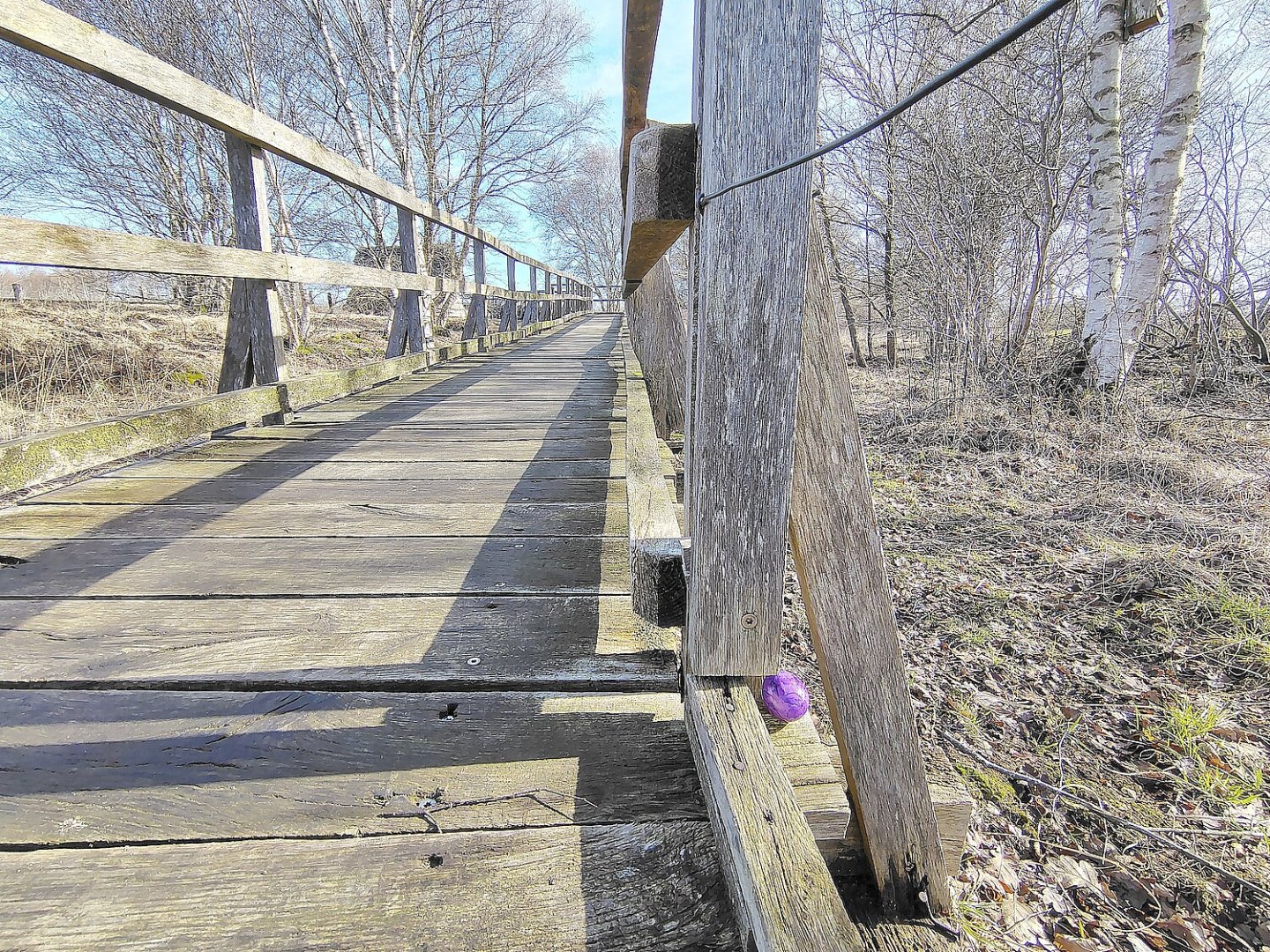 Bunte Ostereier zwischen alten Hütten - Bild 5