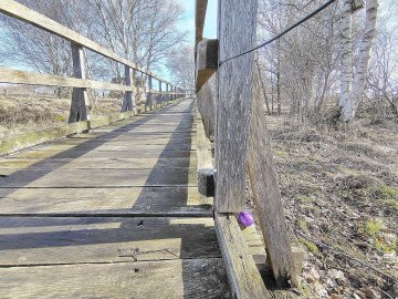 Bunte Ostereier zwischen alten Hütten - Bild 5